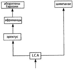 Эректус бродит между нами. Покорение белой расы Эректус бродит между нами. Покорение белой расы