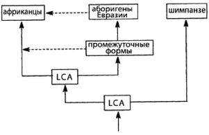 Эректус бродит между нами. Покорение белой расы Эректус бродит между нами. Покорение белой расы