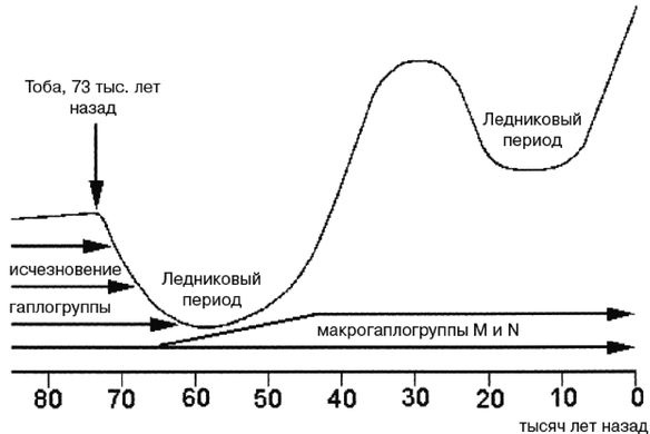 Эректус бродит между нами. Покорение белой расы Эректус бродит между нами. Покорение белой расы