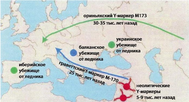 Эректус бродит между нами. Покорение белой расы Эректус бродит между нами. Покорение белой расы