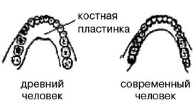 Эректус бродит между нами. Покорение белой расы Эректус бродит между нами. Покорение белой расы
