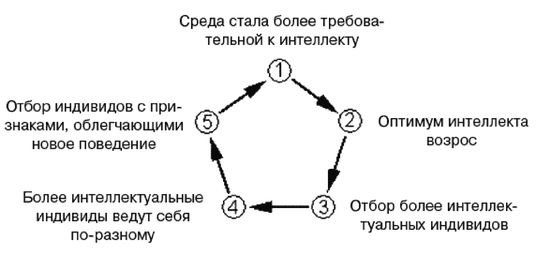 Эректус бродит между нами. Покорение белой расы Эректус бродит между нами. Покорение белой расы
