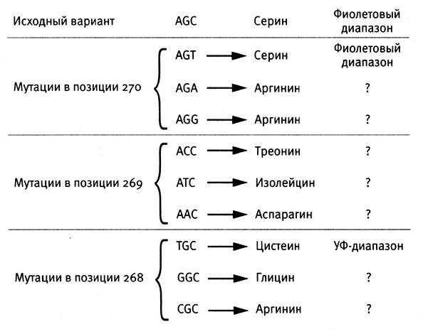 Приспособиться и выжить! ДНК как летопись эволюции Приспособиться и выжить! ДНК как летопись эволюции