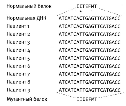 Приспособиться и выжить! ДНК как летопись эволюции Приспособиться и выжить! ДНК как летопись эволюции