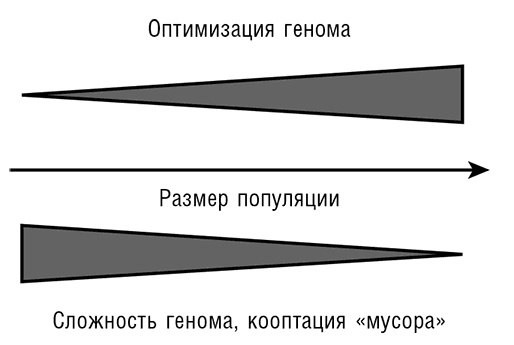 Логика случая. О природе и происхождении биологической эволюции Логика случая. О природе и происхождении биологической эволюции