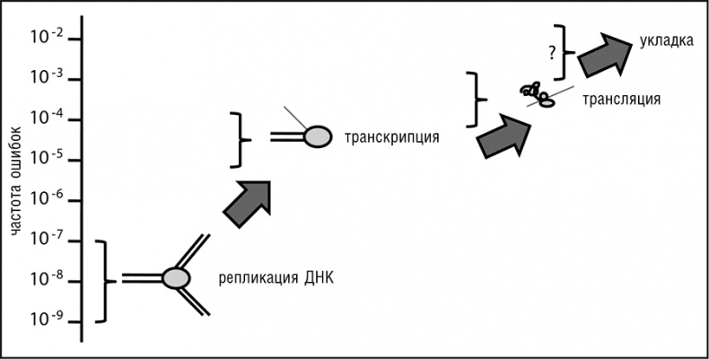 Логика случая. О природе и происхождении биологической эволюции Логика случая. О природе и происхождении биологической эволюции