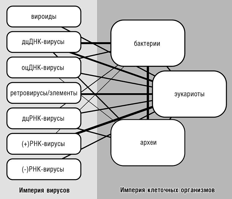 Логика случая. О природе и происхождении биологической эволюции Логика случая. О природе и происхождении биологической эволюции