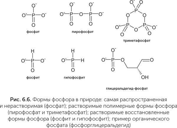 Происхождение жизни. От туманности до клетки Происхождение жизни. От туманности до клетки