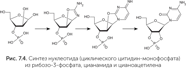 Происхождение жизни. От туманности до клетки Происхождение жизни. От туманности до клетки