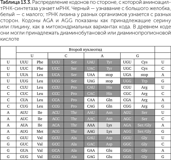 Происхождение жизни. От туманности до клетки Происхождение жизни. От туманности до клетки