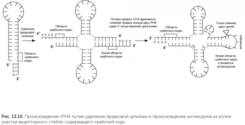 Происхождение жизни. От туманности до клетки Происхождение жизни. От туманности до клетки