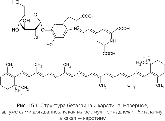 Происхождение жизни. От туманности до клетки Происхождение жизни. От туманности до клетки