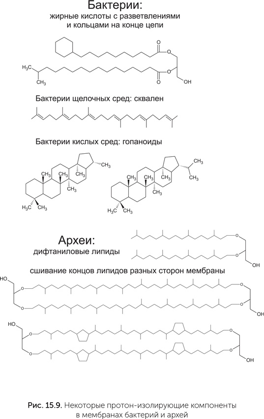 Происхождение жизни. От туманности до клетки Происхождение жизни. От туманности до клетки