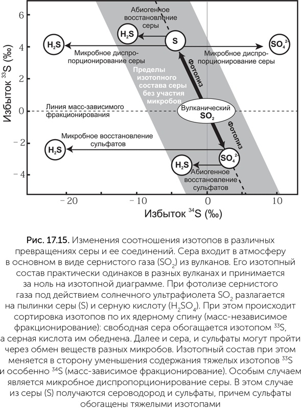 Происхождение жизни. От туманности до клетки Происхождение жизни. От туманности до клетки