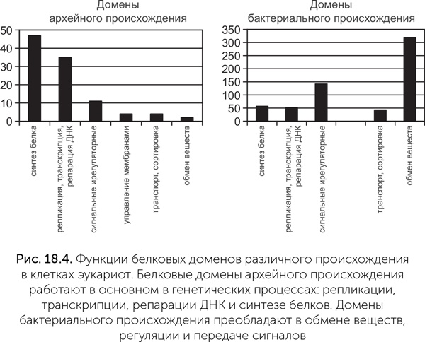 Происхождение жизни. От туманности до клетки Происхождение жизни. От туманности до клетки