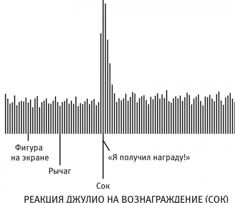 Власть привычки. Почему мы живем и работаем именно так, а не иначе Власть привычки. Почему мы живем и работаем именно так, а не иначе
