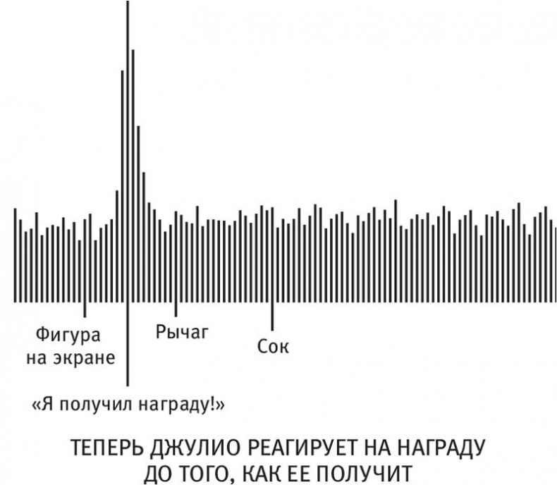 Власть привычки. Почему мы живем и работаем именно так, а не иначе Власть привычки. Почему мы живем и работаем именно так, а не иначе