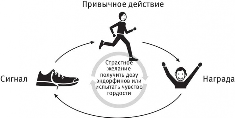 Власть привычки. Почему мы живем и работаем именно так, а не иначе Власть привычки. Почему мы живем и работаем именно так, а не иначе