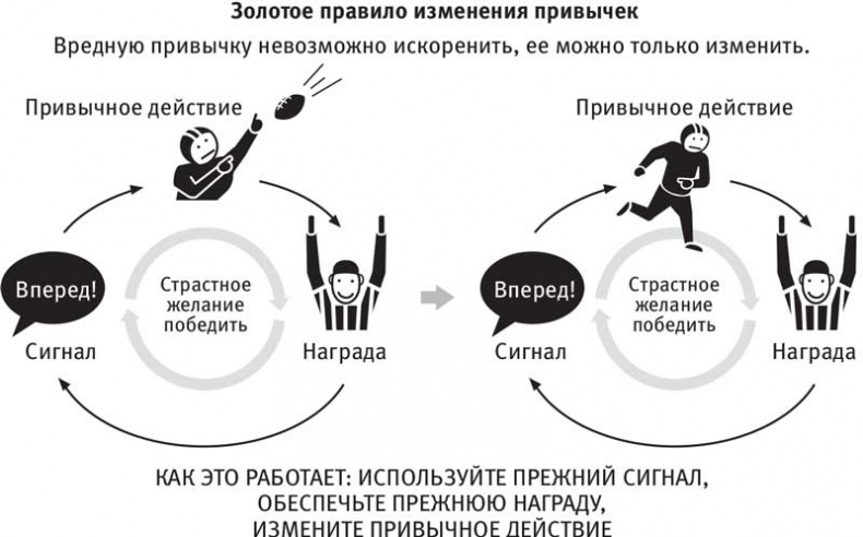 Власть привычки. Почему мы живем и работаем именно так, а не иначе
