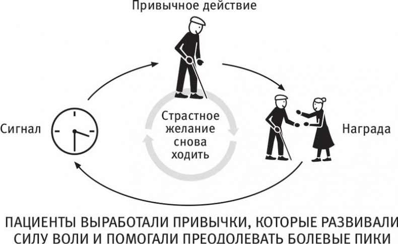 Власть привычки. Почему мы живем и работаем именно так, а не иначе Власть привычки. Почему мы живем и работаем именно так, а не иначе