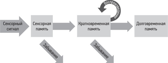 Психология. Люди, концепции, эксперименты Психология. Люди, концепции, эксперименты