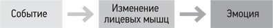 Психология. Люди, концепции, эксперименты Психология. Люди, концепции, эксперименты