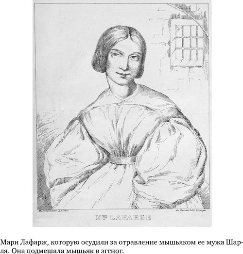 Анатомия преступления. Что могут рассказать насекомые, отпечатки пальцев и ДНК Анатомия преступления. Что могут рассказать насекомые, отпечатки пальцев и ДНК