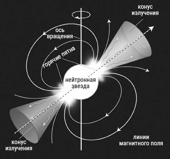 Был ли Бог математиком? Галопом по божественной Вселенной с калькулятором, штангенциркулем и таблицами Брадиса Был ли Бог математиком? Галопом по божественной Вселенной с калькулятором, штангенциркулем и таблицами Брадиса