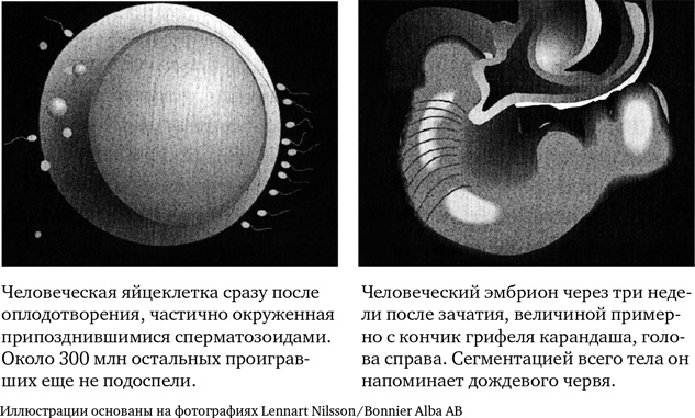 Миллиарды и миллиарды. Размышления о жизни и смерти на рубеже тысячелетий
