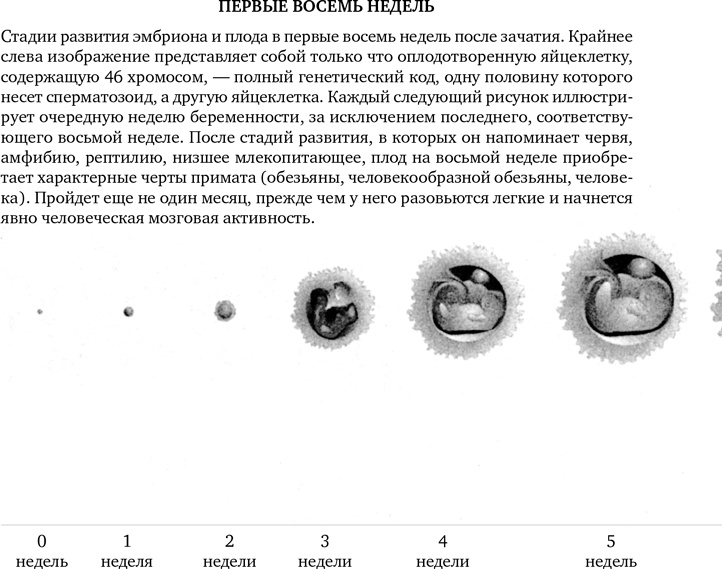 Миллиарды и миллиарды. Размышления о жизни и смерти на рубеже тысячелетий