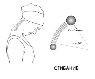 Диагностика и лечение позвоночника. Уникальная система доктора А. М. Уриа Диагностика и лечение позвоночника. Уникальная система доктора А. М. Уриа