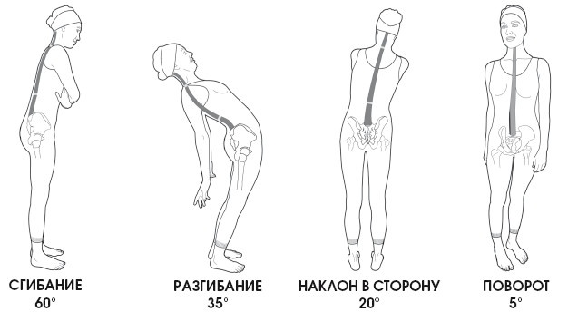 Диагностика и лечение позвоночника. Уникальная система доктора А. М. Уриа Диагностика и лечение позвоночника. Уникальная система доктора А. М. Уриа
