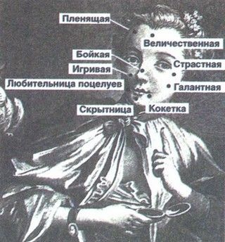 Любовь к истории Любовь к истории