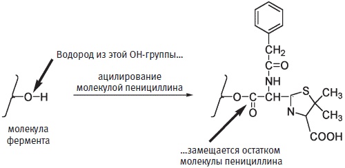 Пуговицы Наполеона. Семнадцать молекул, которые изменили мир Пуговицы Наполеона. Семнадцать молекул, которые изменили мир