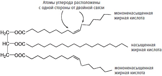 Пуговицы Наполеона. Семнадцать молекул, которые изменили мир Пуговицы Наполеона. Семнадцать молекул, которые изменили мир