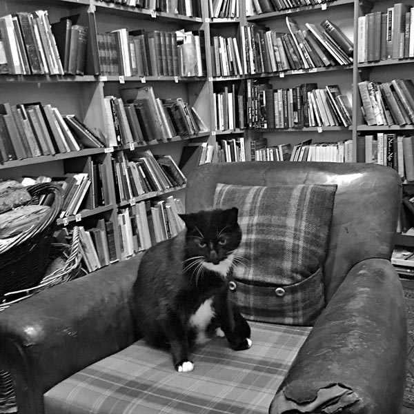 Дневник книготорговца Дневник книготорговца