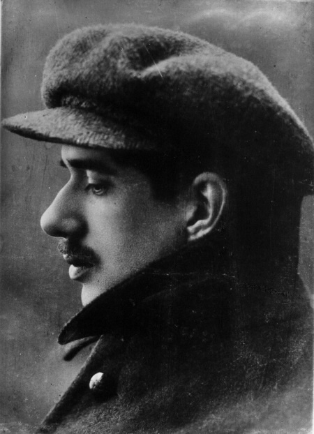 Дневник. 1901-1921 Дневник. 1901-1921