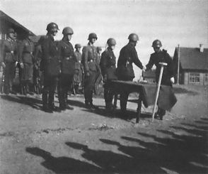 1-я Русская бригада СС "Дружина" 1-я Русская бригада СС "Дружина"