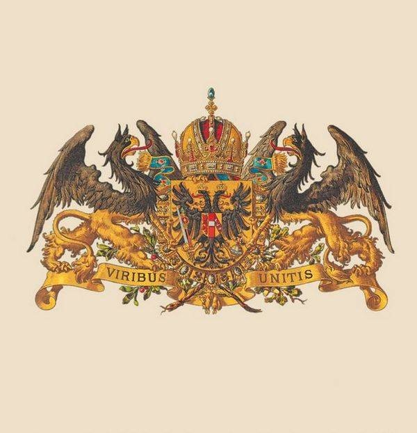 Австро-Венгрия. Судьба империи Австро-Венгрия. Судьба империи