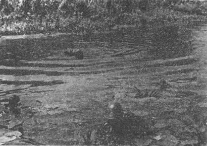 Десанты 1941 года Десанты 1941 года