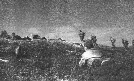 Десанты 1941 года Десанты 1941 года