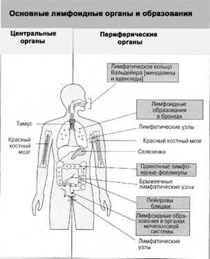 Имя ему СПИД. Четвертый всадник Апокалипсиса Имя ему СПИД. Четвертый всадник Апокалипсиса