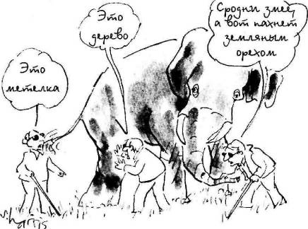 Пять нерешенных проблем науки Пять нерешенных проблем науки
