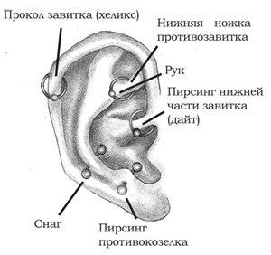 Энциклопедия Пирсинга. Настольная книга мастера и клиента Энциклопедия Пирсинга. Настольная книга мастера и клиента