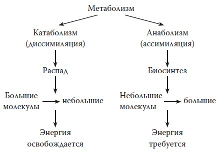 Вся правда о гормонах и не только Вся правда о гормонах и не только