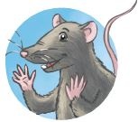 Кефир, Гаврош и Рикошет. Возвращение Крысиной королевы Кефир, Гаврош и Рикошет. Возвращение Крысиной королевы