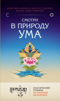Смотри на природу ума - Вангчуг Дордже