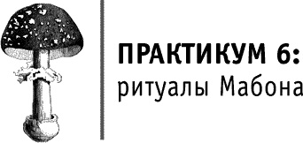 Круг Года. Викканские праздники, их атрибуты и значение