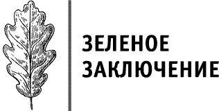 Круг Года. Викканские праздники, их атрибуты и значение Круг Года. Викканские праздники, их атрибуты и значение