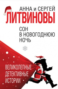 Сон в новогоднюю ночь - Анна и Сергей Литвиновы